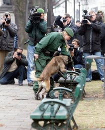 Image 456612880