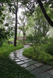 Image 456625193