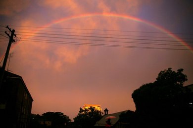Image 456699448