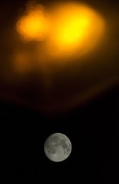Image 456700869