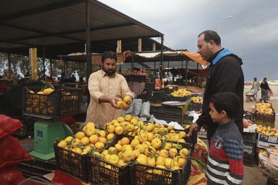 Image 456701345