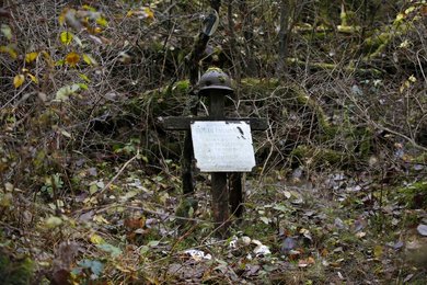 Image 456709625