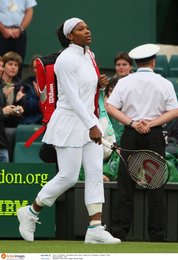 Image 456785524