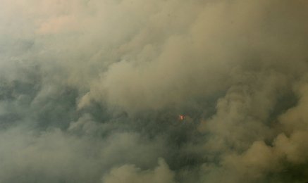 Image 456814149