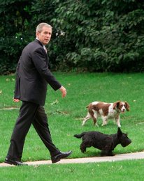 Image 456842875
