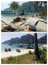 Image 456911888