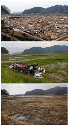 Image 456940190