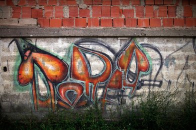 Image 456942355
