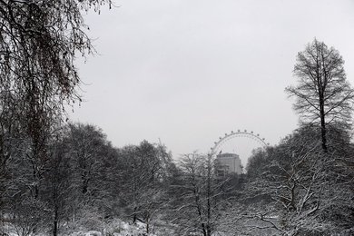 Image 456955042