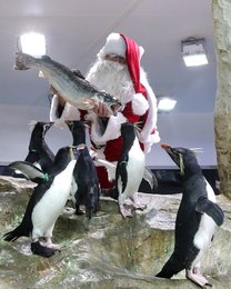 Image 456981703
