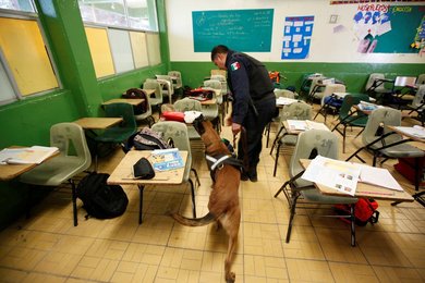 Image 456988323