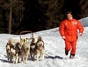 Image 457072427