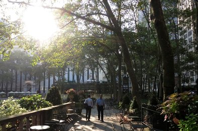 Image 457100276