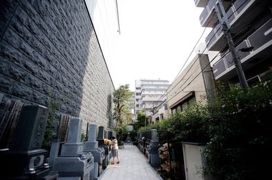 Image 457217804
