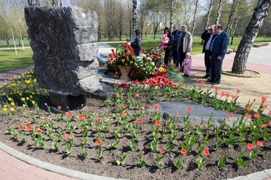 Image 457287526