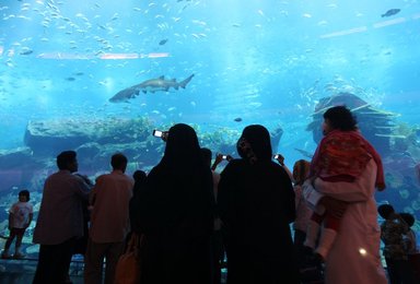 Image 457289037