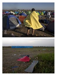 Image 457295562