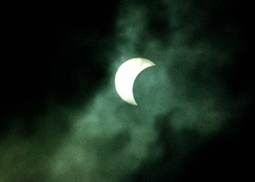 Image 457316024