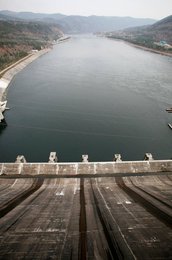 Image 457390265