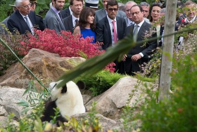Image 457398767