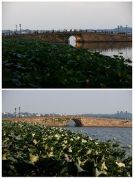 Image 457452950
