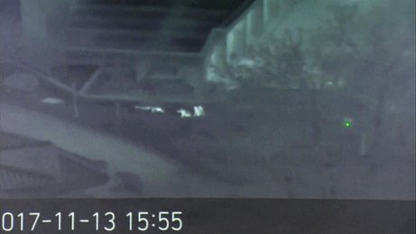 Image 457465247