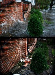 Image 457481625