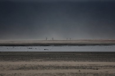Image 457488304