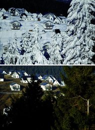Image 457522118