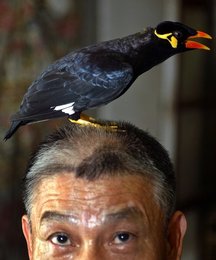 Image 457524703
