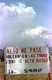 Image 457534538