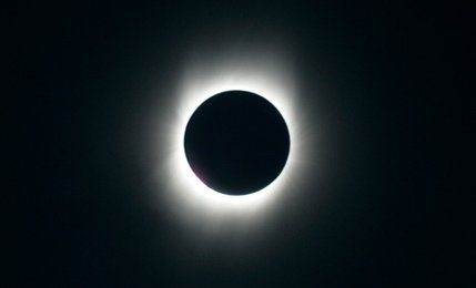 Image 457598425