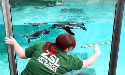 Image 457642532