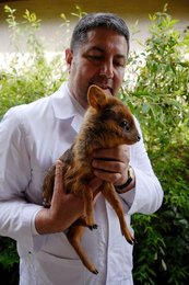 Image 457707466