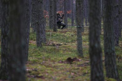 Image 457707484