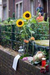 Image 457815606