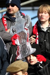 Image 457852959