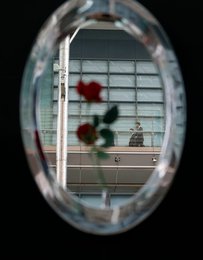 Image 457858044