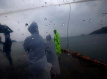 Image 457866881