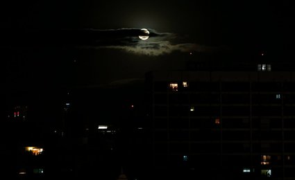 Image 457868456