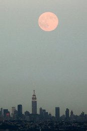 Image 457868512