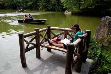 Image 457897867