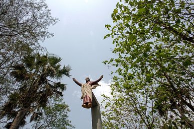 Image 457917081