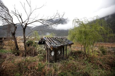 Image 457922191