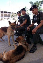 Image 458079491