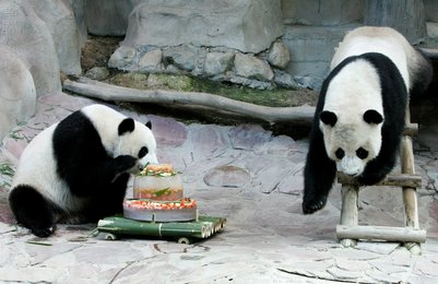 Image 458184011