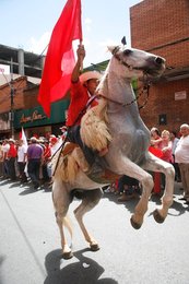 Image 458269344