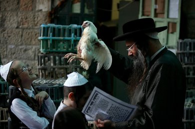 Image 458383279