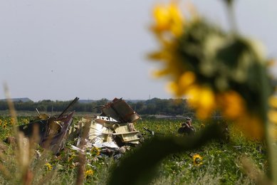 Image 458538499