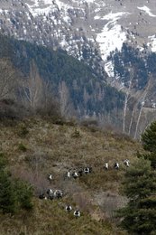 Image 458568993